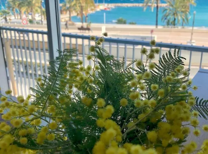 Front De - Garavan *